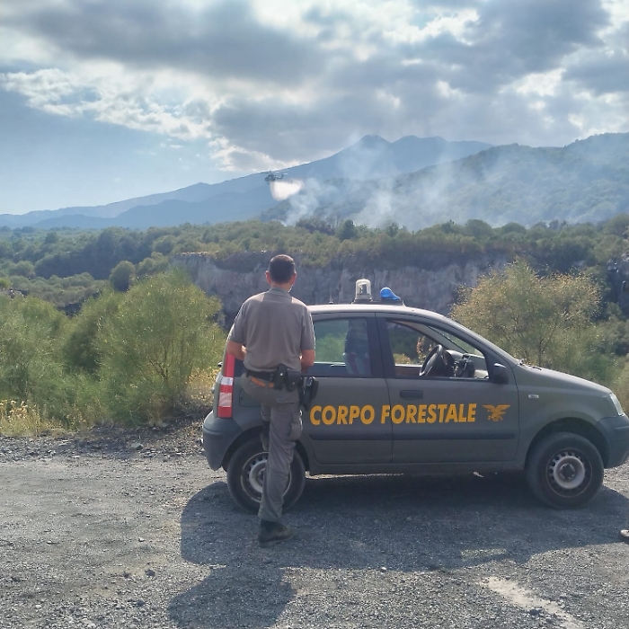 WhatsApp Image 2025-08-12 at 16.34.20