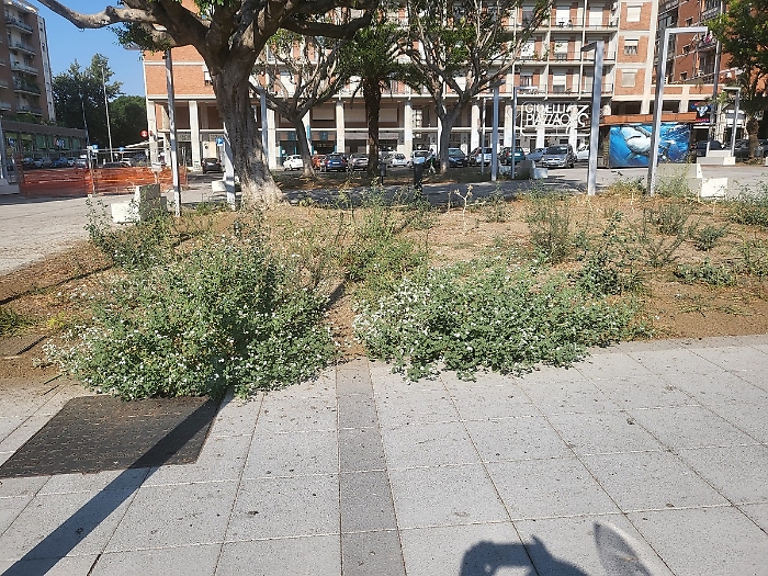 WhatsApp Image 2025-08-15 at 13.35.19 (1)