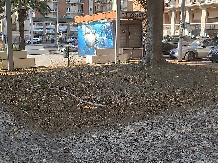 WhatsApp Image 2025-08-15 at 13.35.19