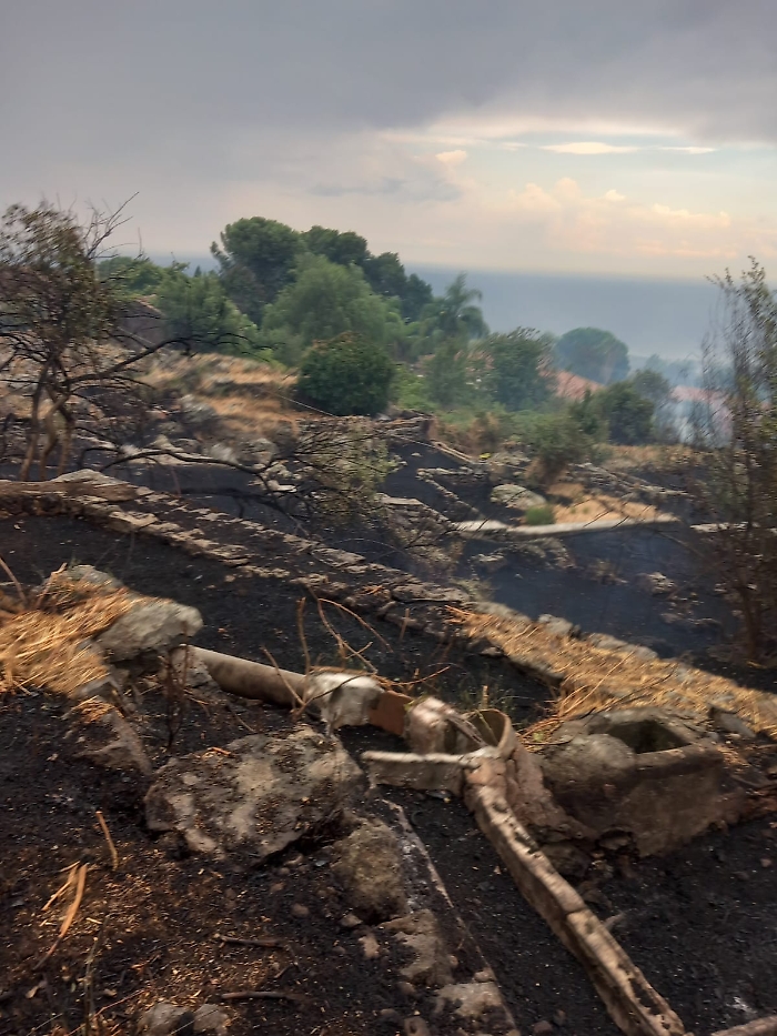 WhatsApp Image 2025-08-16 at 18.35.02 (1)