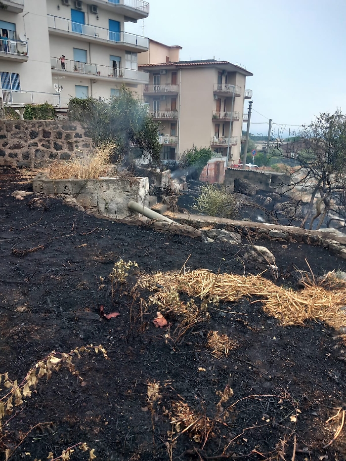 WhatsApp Image 2025-08-16 at 18.35.02 (2)