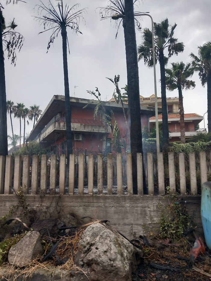 WhatsApp Image 2025-08-16 at 18.35.02 (3)