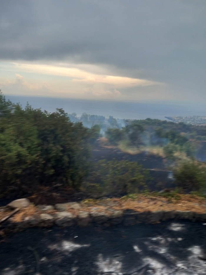 WhatsApp Image 2025-08-16 at 18.35.02