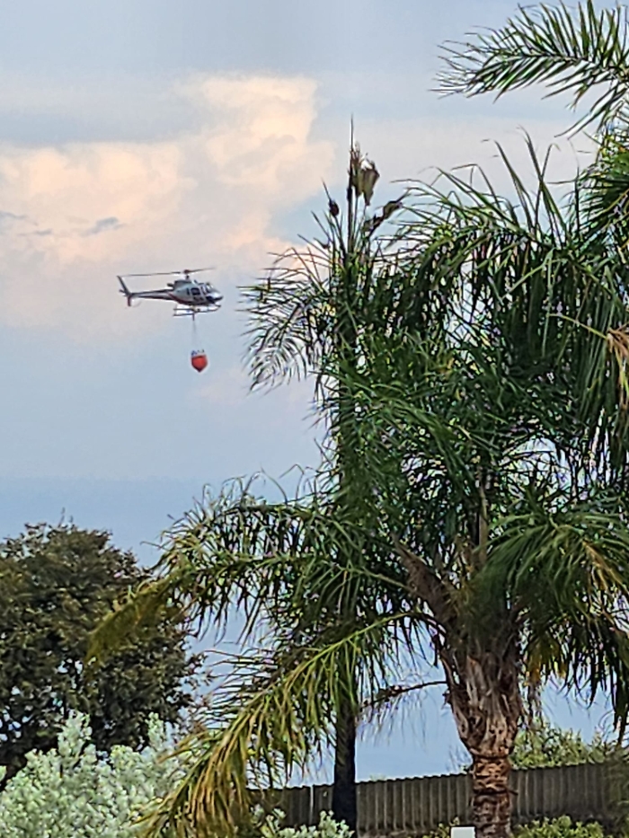 WhatsApp Image 2025-08-16 at 18.35.03 (2)