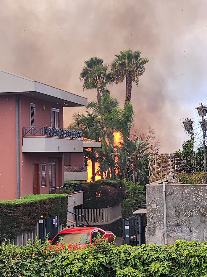 WhatsApp Image 2025-08-16 at 18.35.04