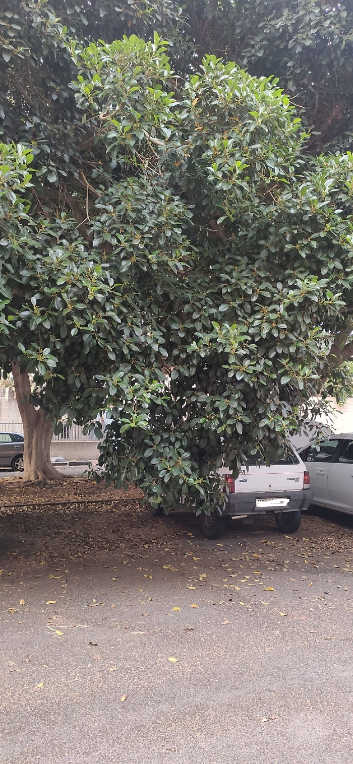 WhatsApp Image 2025-08-19 at 08.29.47 (2)