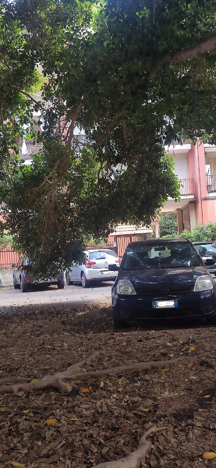 WhatsApp Image 2025-08-19 at 08.29.48 (1)