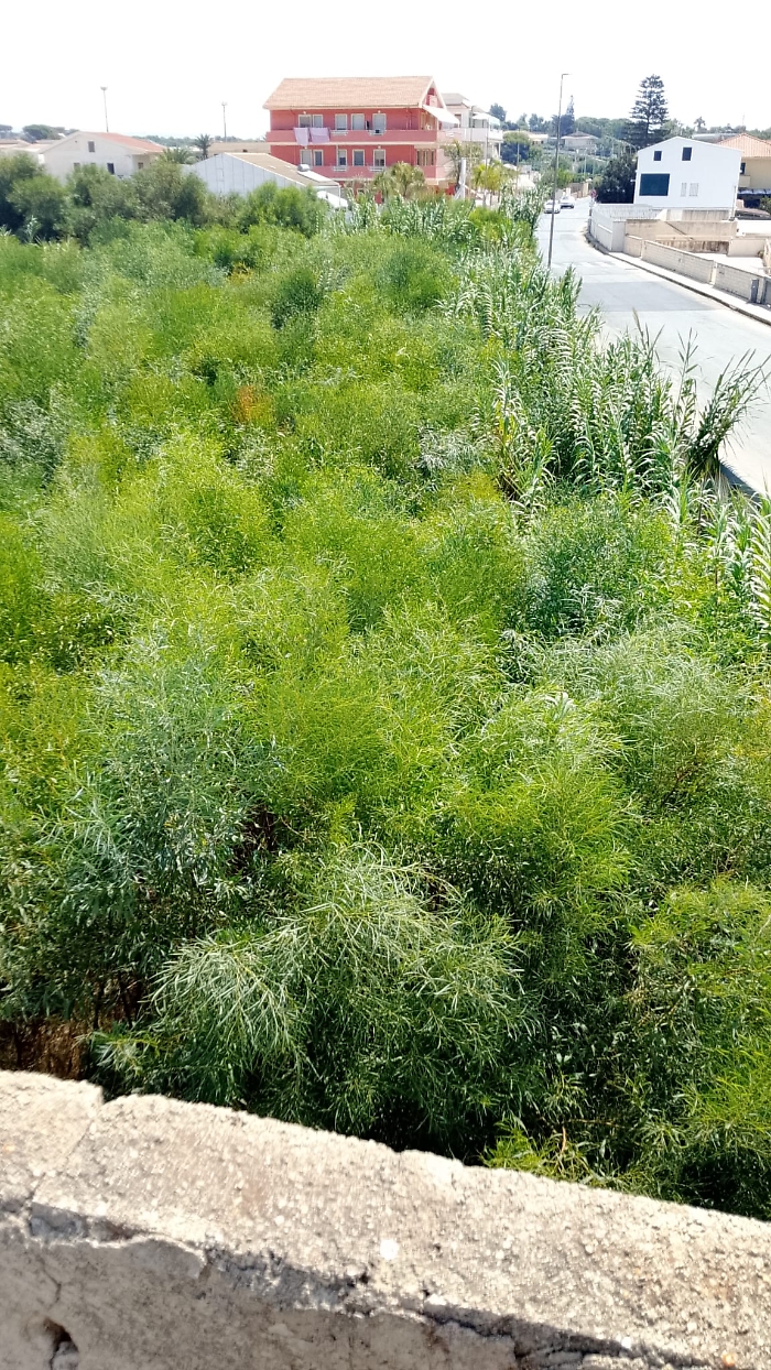 WhatsApp Image 2025-08-20 at 11.15.55