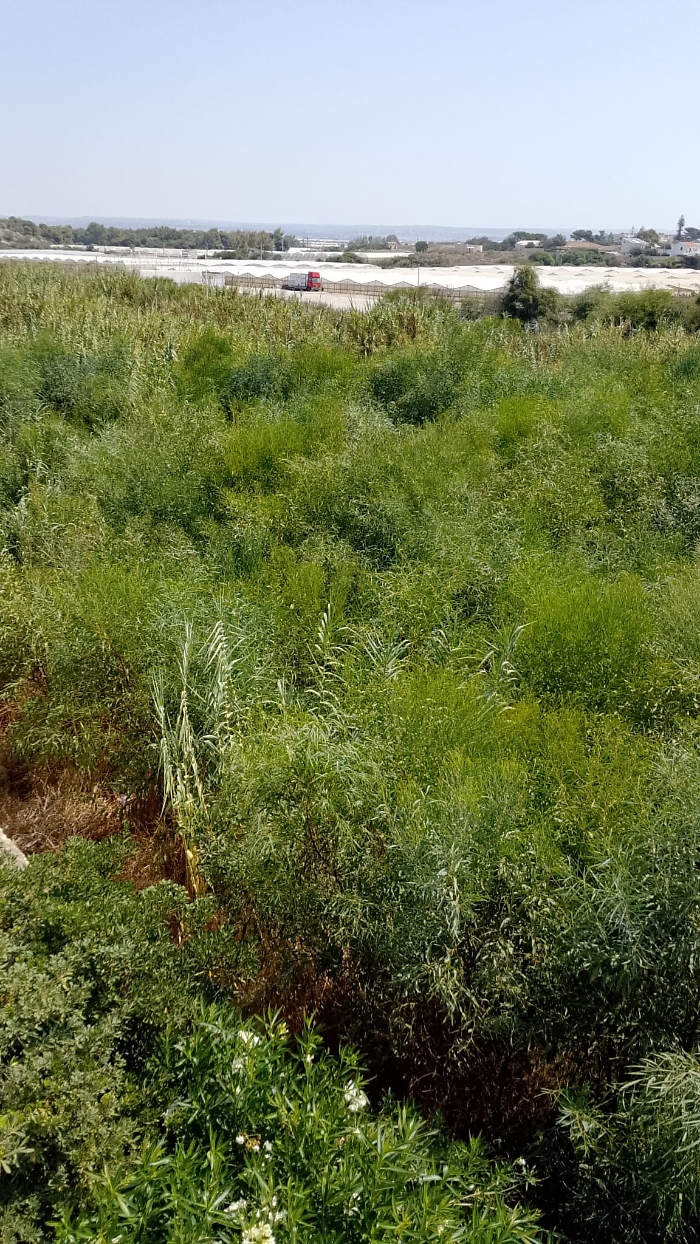 WhatsApp Image 2025-08-20 at 11.16.08