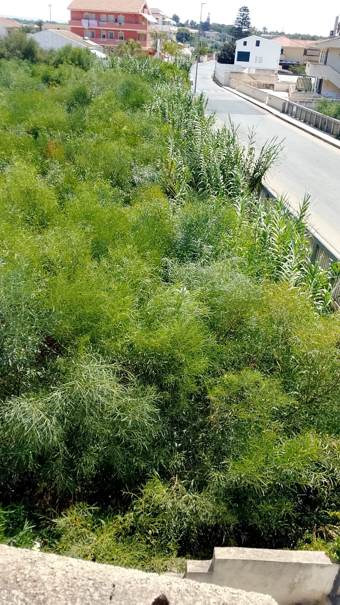 WhatsApp Image 2025-08-20 at 11.16.39