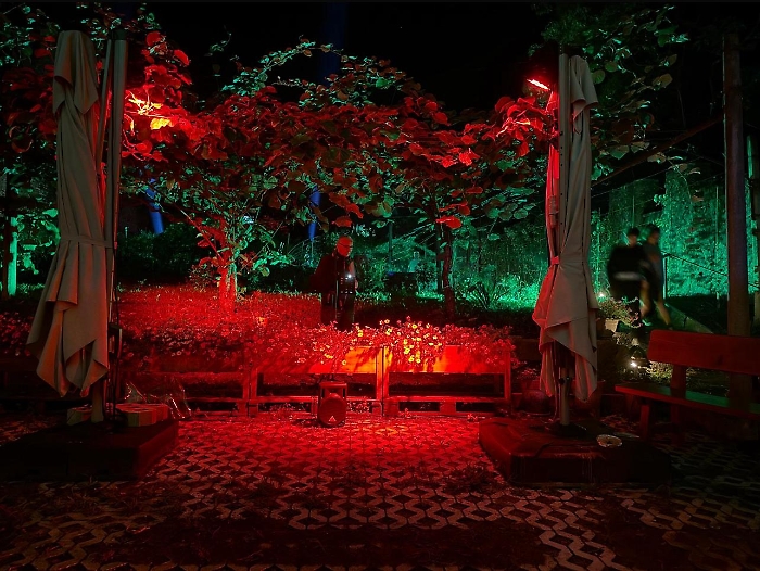 fotobuscemipaesaggiimmateriali190825-3