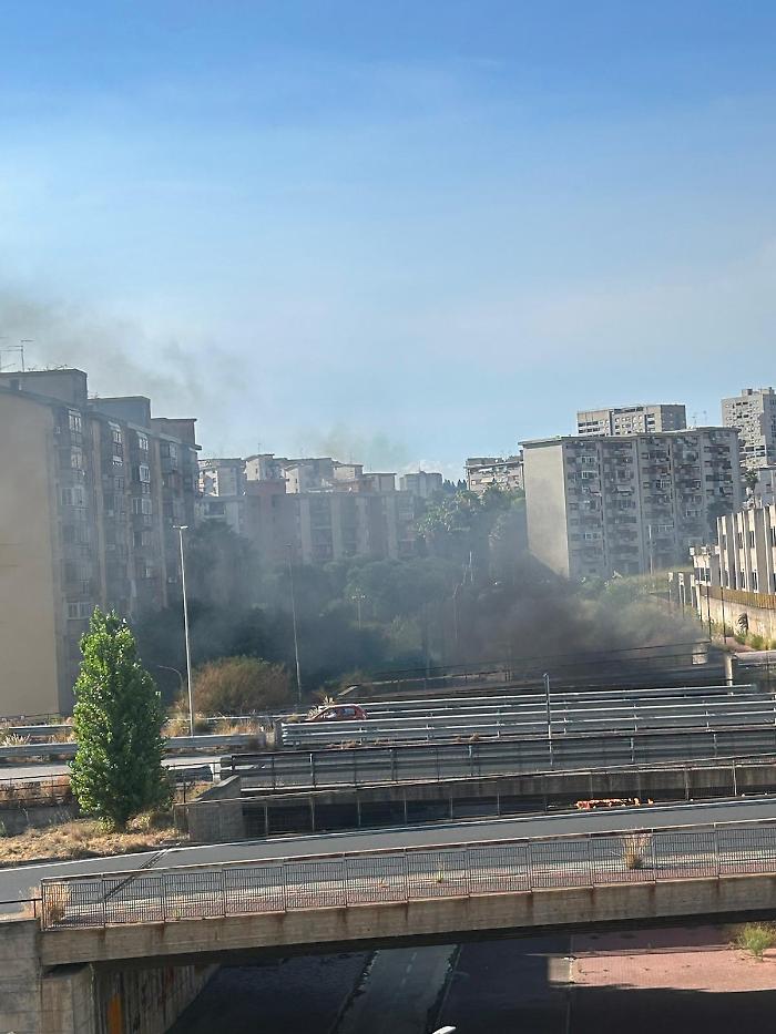 Rifiuti Librino 21 settembre (2)