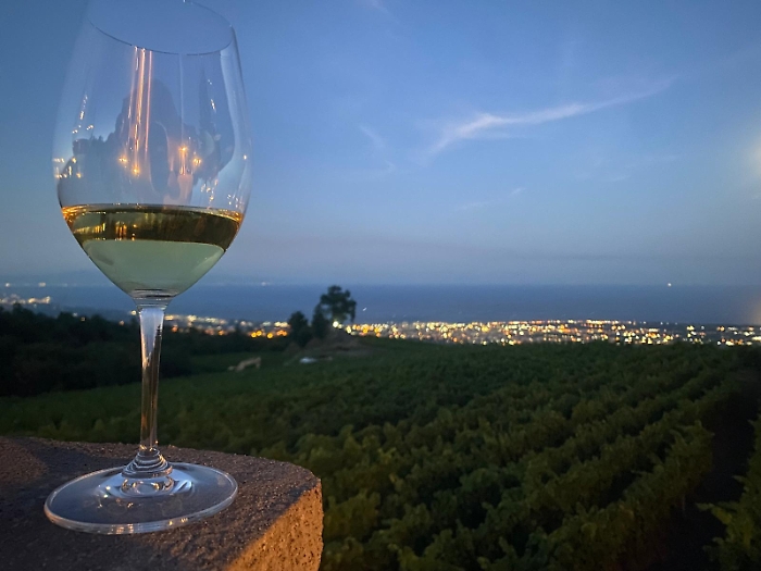 VM25_degustazione in vigna (Cantine Iuppa, Milo)