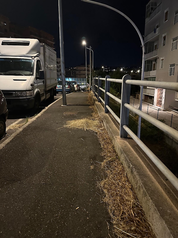 WhatsApp Image 2025-09-09 at 09.43.06