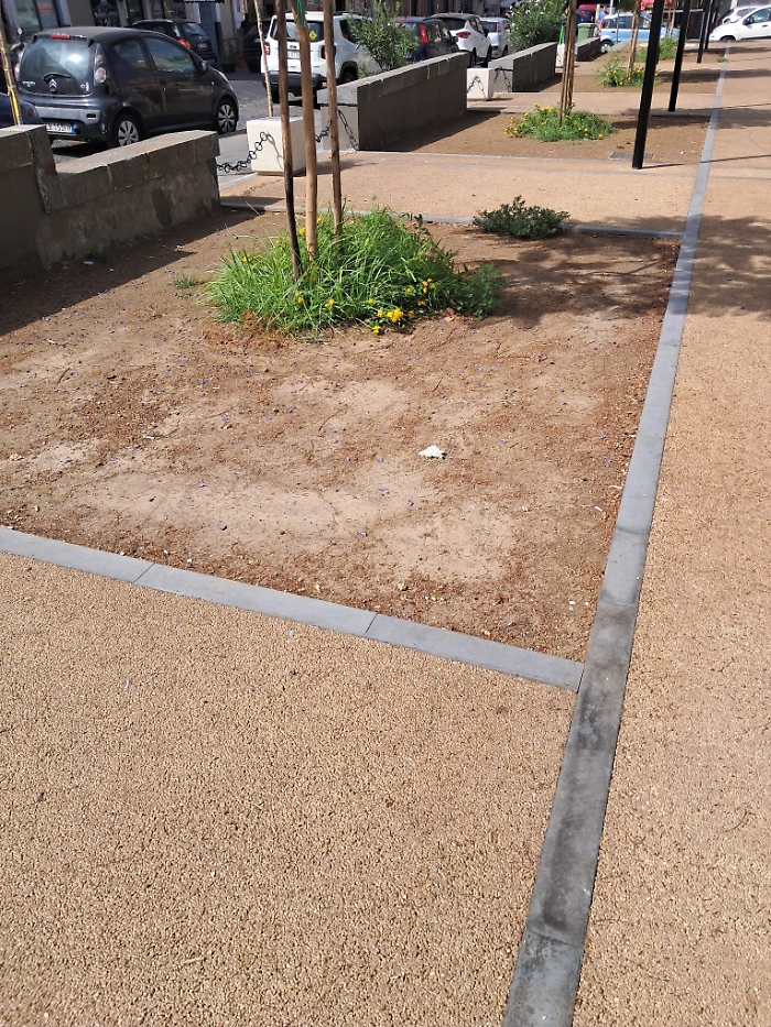 WhatsApp Image 2025-09-11 at 14.17.32