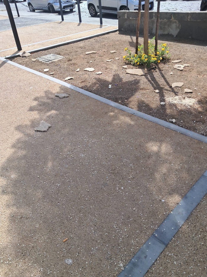 WhatsApp Image 2025-09-11 at 14.17.33