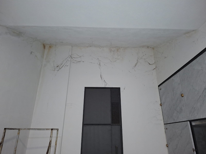 WhatsApp Image 2025-09-13 at 13.22.04 (2)