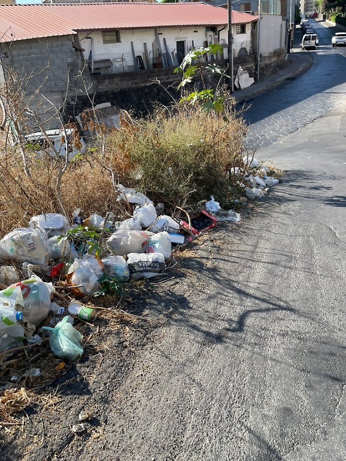 WhatsApp Image 2025-09-18 at 12.03.34