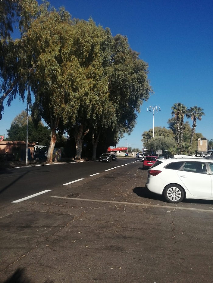 WhatsApp Image 2025-09-21 at 03.19.40 (1)