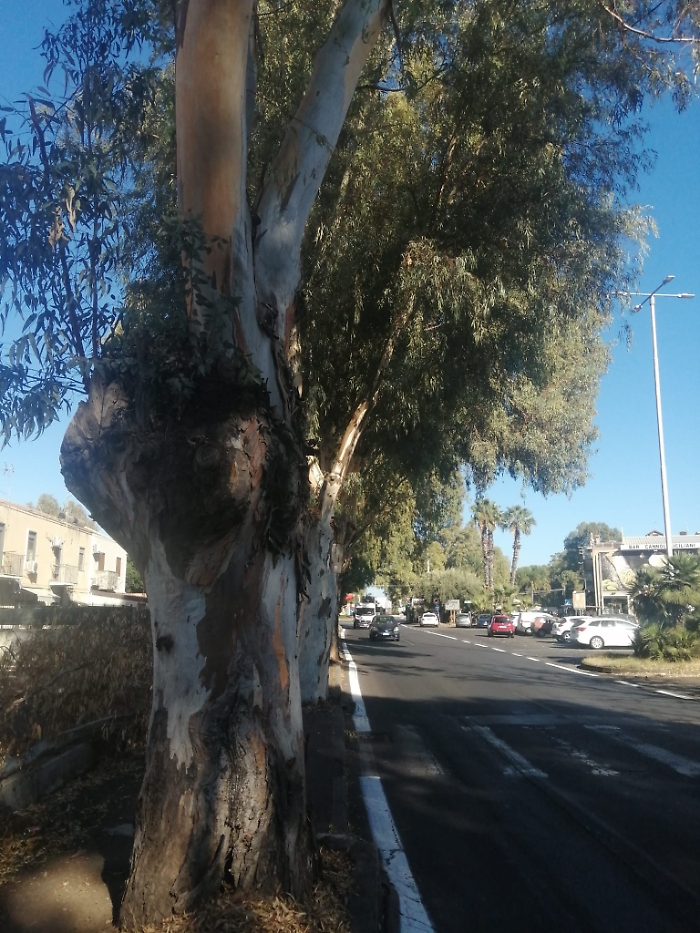 WhatsApp Image 2025-09-21 at 03.19.40 (2)