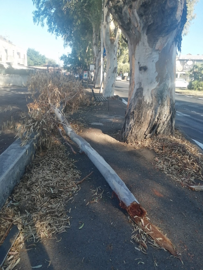 WhatsApp Image 2025-09-21 at 03.19.40