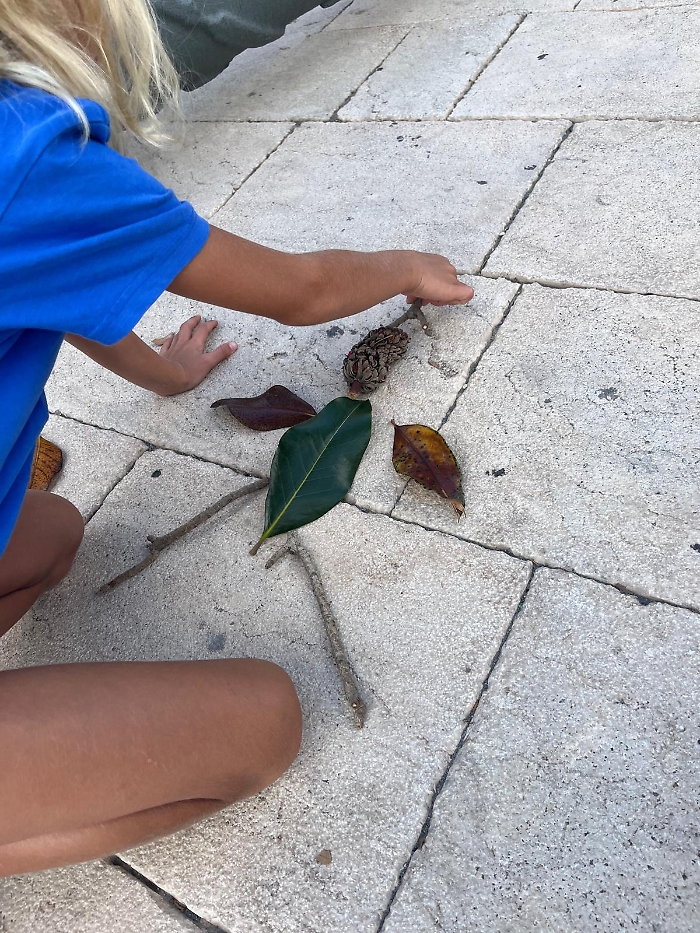 WhatsApp Image 2025-09-22 at 16.54.48 (5)