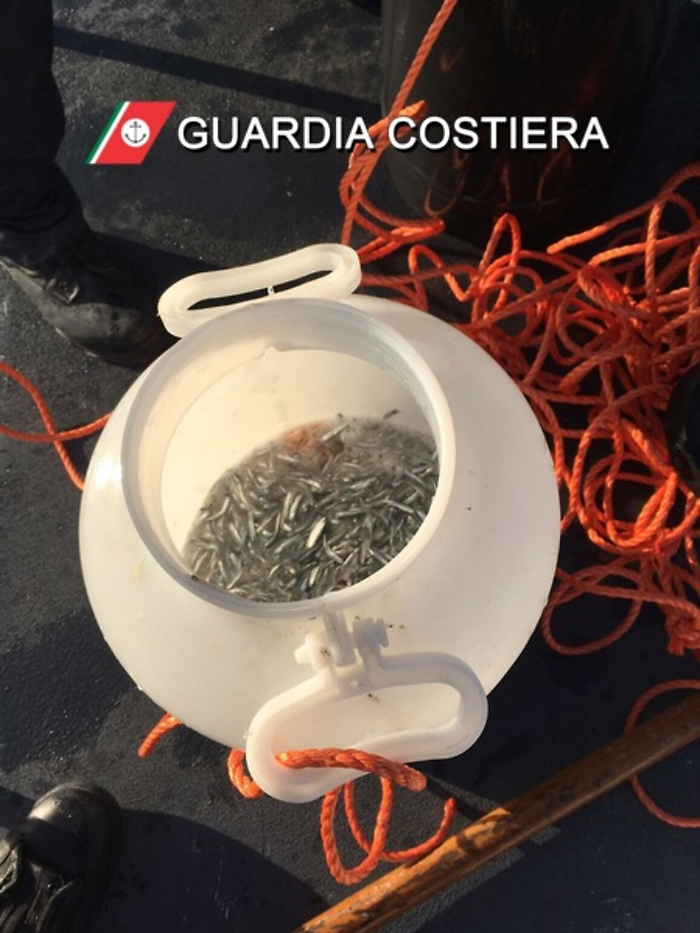 Pesca di novellame abusiva, fermate due imbarcazioni da diporto
