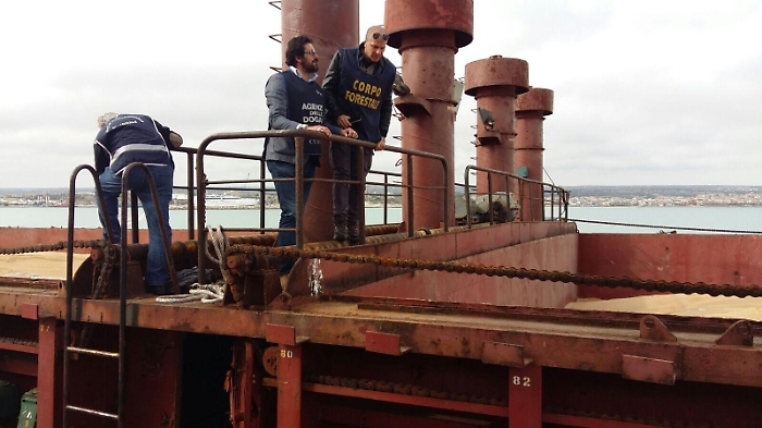 Grano dall'estero per i mulini siciliani: la Regione invia ispezione