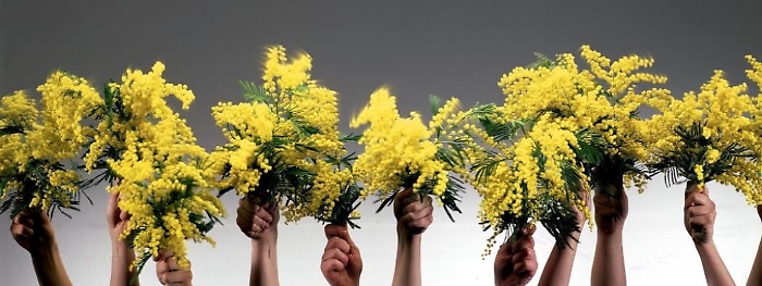 Festa della Donna: iniziativa del sindacato dei fiorai della provincia agrigentina