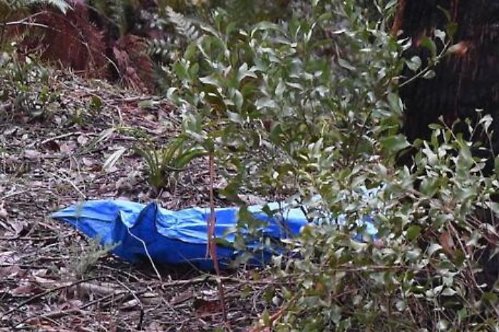 Lentini, nascose il cadavere del compagno della madre: arrestato titolare di pompe funebri