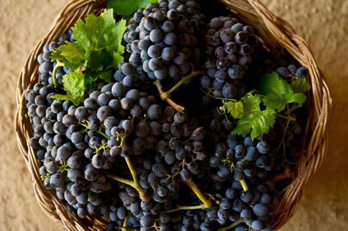 La guerra con la Regione del nero d&rsquo;avola