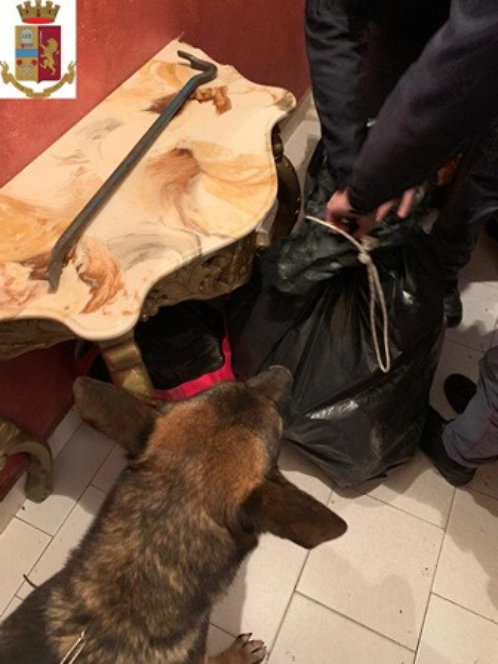 Catania, i segugi a quattro zampe della Polizia scovano droga a Librino