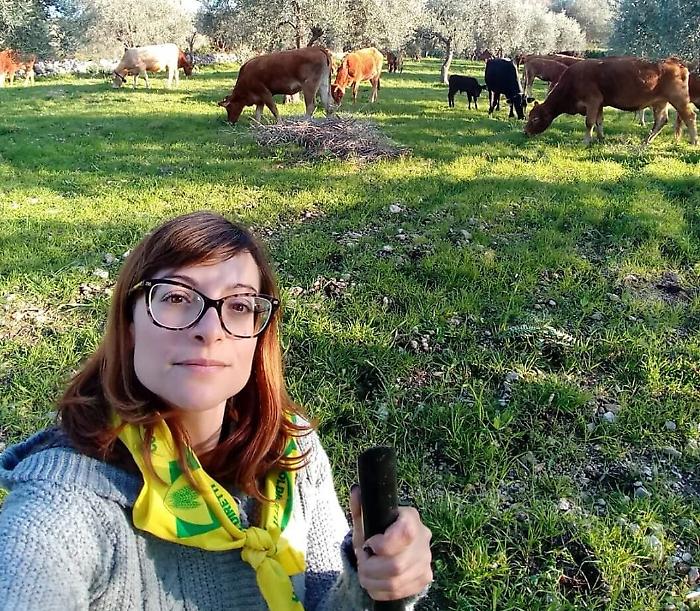 Diandra e le sue vacche limousine: scelta di qualità per restare in Sicilia