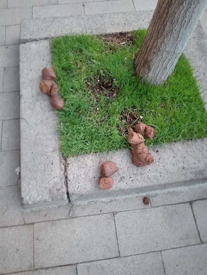 Catania: quando i veri "animali" sono i padroni