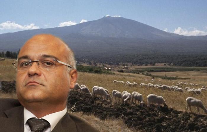 La mafia dei pascoli oltre il protocollo Antoci: la sfida ai boss «raffinati»