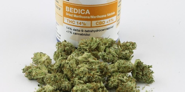 Cannabis terapeutica, la Regione siciliana dispenserà gratis il farmaco