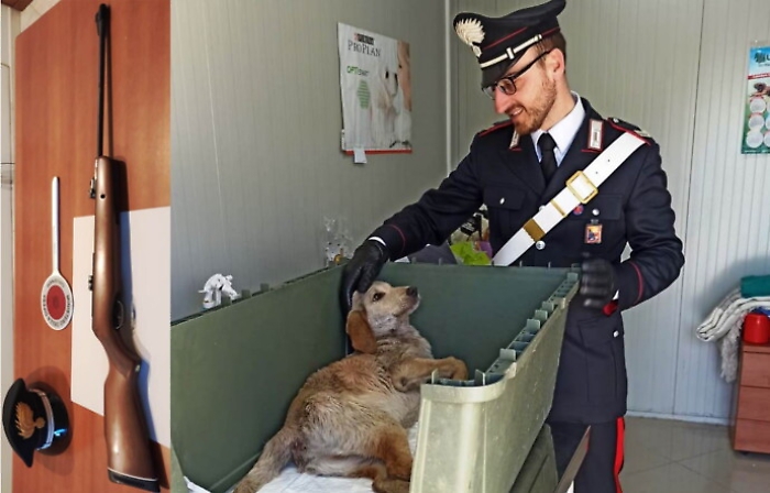 Castiglione di Sicilia, spara al cane che faceva i bisogni davanti casa sua