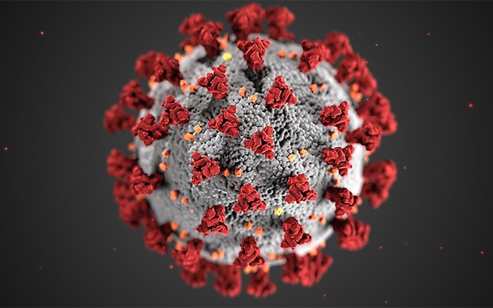 Coronavirus, i casi “nascosti” potrebbero essere il 60%