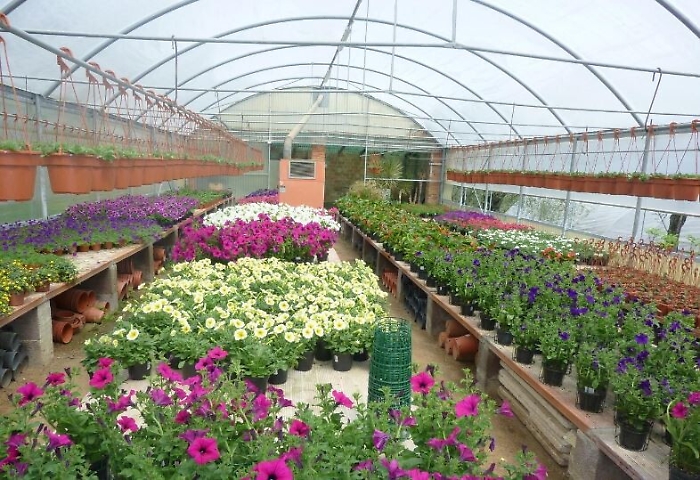 Coronavirus, duemila vivai e 10mila lavoratori in ginocchio