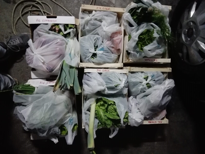 Un "carico" di frutta e verdura da distribuire