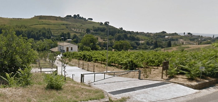 Salemi “zona rossa”, gli agricoltori: «Fateci curare i vigneti»