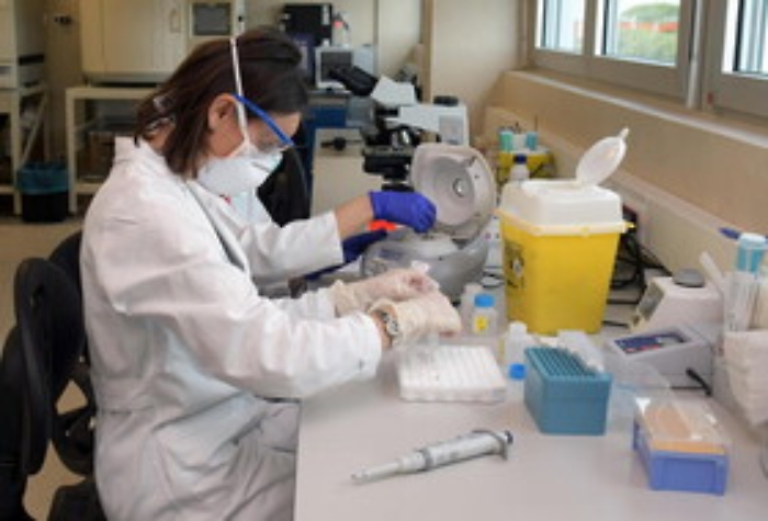 Coronavirus, al via tamponi rapidi: 11 i test autorizzati in Italia