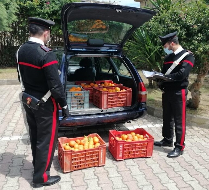 Palagonia, ruba 140 chili di arance: preso mentre le scaricava