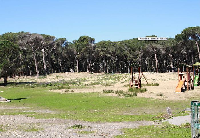 Catania, da oggi la Regione prende in gestione il boschetto della Plaia