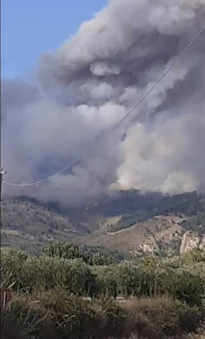 Incendi nei boschi: convocato Consiglio comunale all'aperto a Burgio