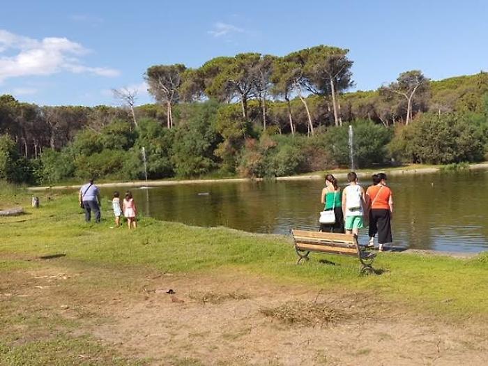 Il boschetto della Plaia torna fruibile: riaperto al pubblico il "polmone verde" di Catania