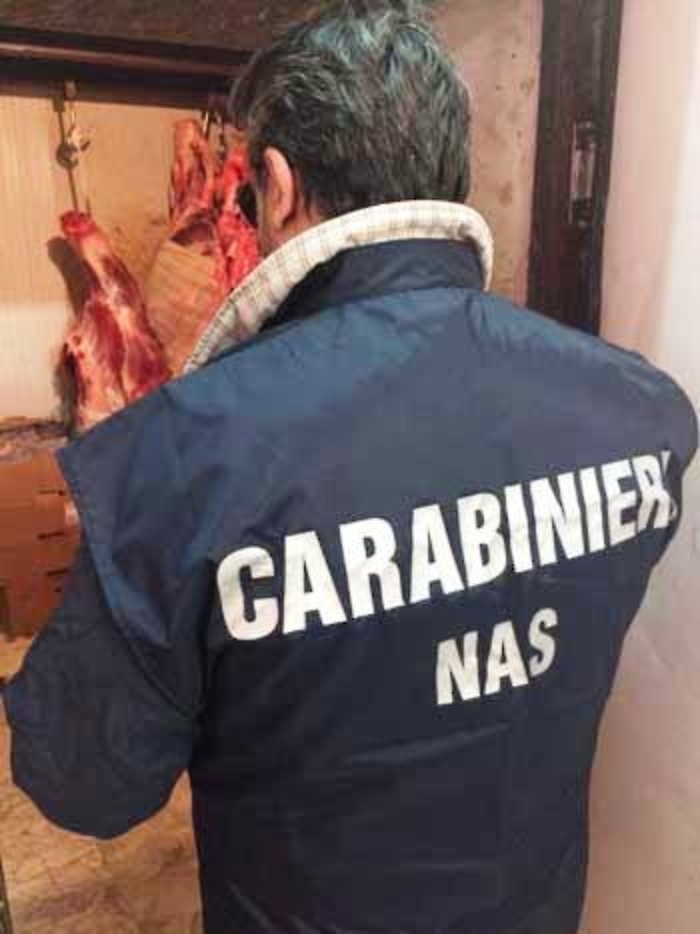 Catania, carne di cavallo  illegale "anonima" e scaduta Una tonnellata sequestrata dal Nas