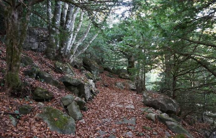 Caronia, trovato il cadavere di una donna nella boscaglia