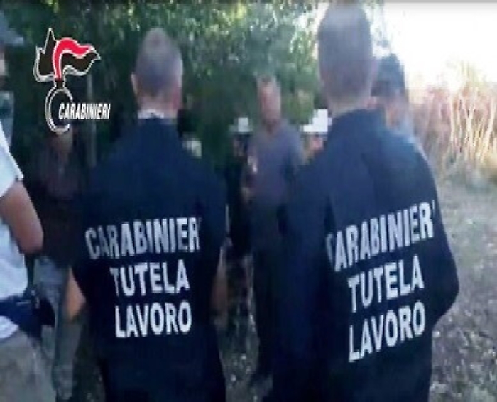 Corleone: irregolari 8 aziende agricole su 11 e 40 lavoratori su 51