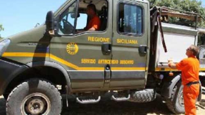 Cdm impugna legge su Forestali Sicilia: «Viola competenze dello Stato»